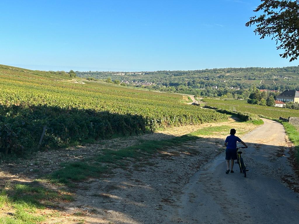 Santenay on the Canal du Centre