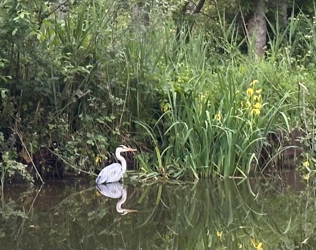 Canal du Briare